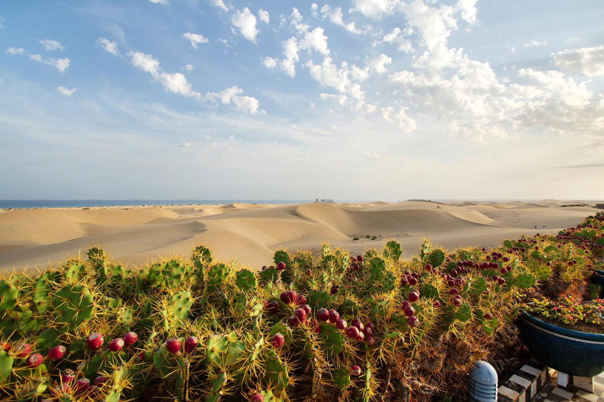 Villa Dunas Maspalomas Maspalomas  Ngoại thất bức ảnh